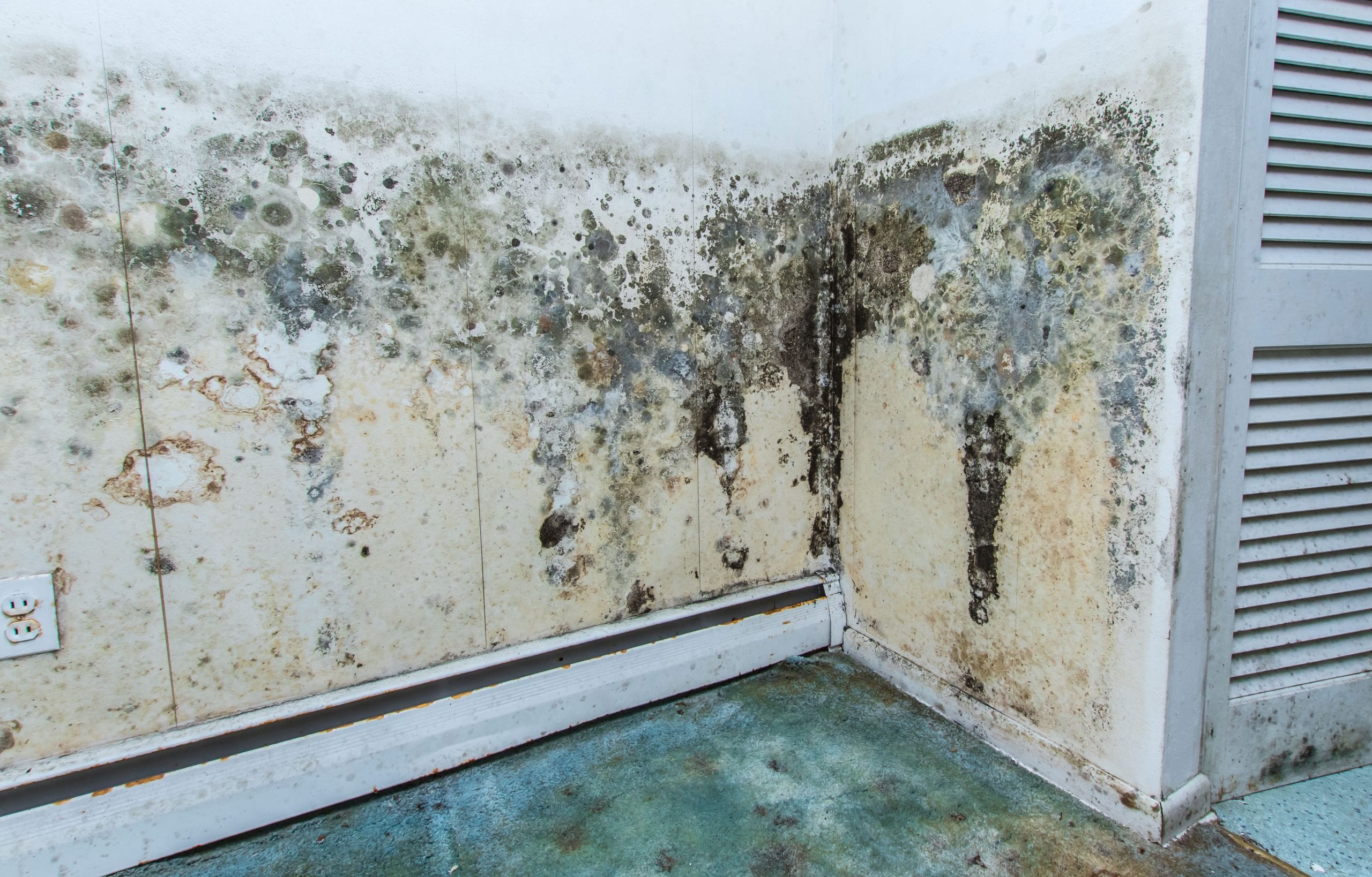 residential mold removal experts in Surprise